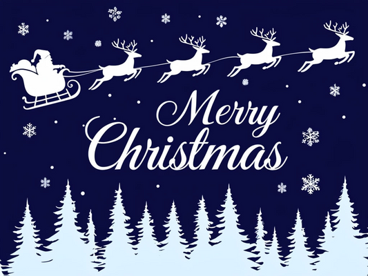 Santa’s Christmas Flight